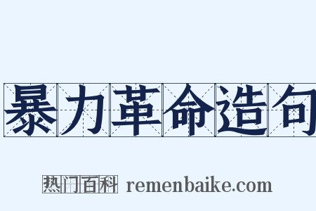 暴力革命造句是什么意思的图片